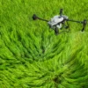 DJI AGRAS T50 Spraying Drone - Image 7